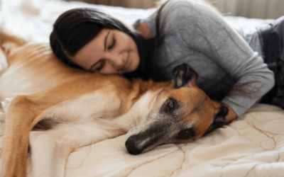 Estresse e ansiedade em pets: como identificar e tratar